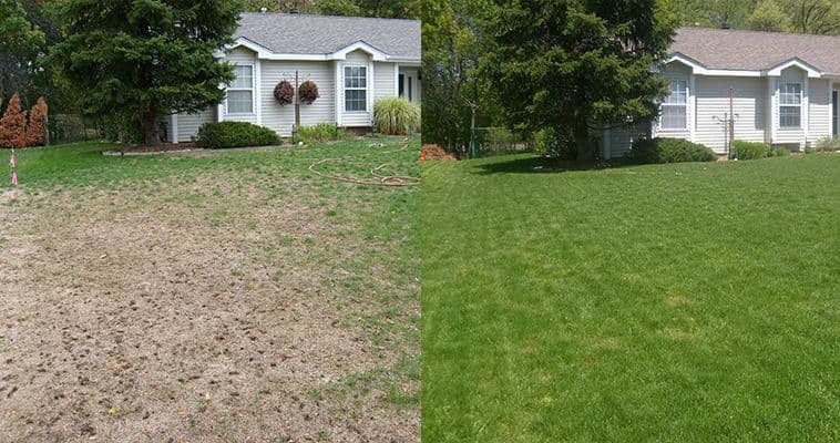 Before and after lawn aeration on a residential property
